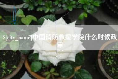 阳江中国消防救援学院什么时候政审
