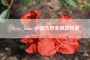 阳江中国九枚金牌获得者