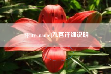 阳江九宫详细说明