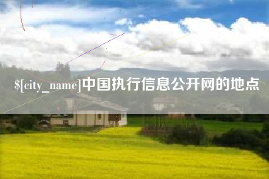 阳江中国执行信息公开网的地点