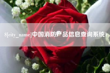 阳江中国消防产品信息查询系统1