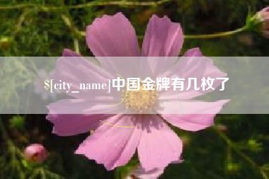 阳江中国金牌有几枚了