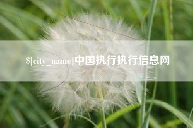 阳江中国执行执行信息网