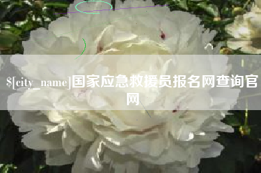 阳江国家应急救援员报名网查询官网