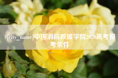 阳江中国消防救援学院2020高考报考条件