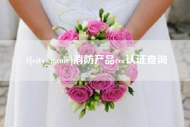 阳江消防产品ccc认证查询