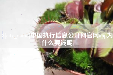 阳江中国执行信息公开网官网app为什么要钱呢