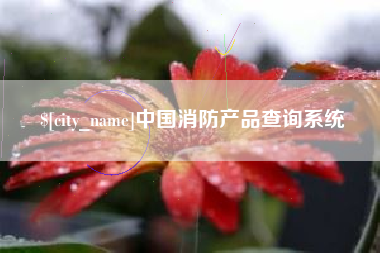 阳江中国消防产品查询系统