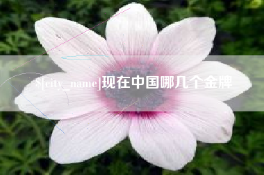 阳江现在中国哪几个金牌