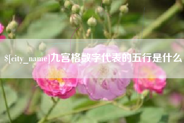 阳江九宫格数字代表的五行是什么