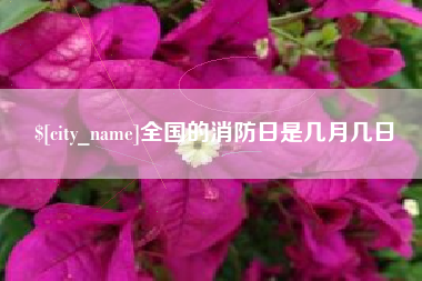 阳江全国的消防日是几月几日