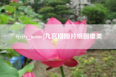 阳江九宫格图片组图唯美