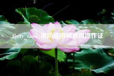 阳江消防证国网查询操作证