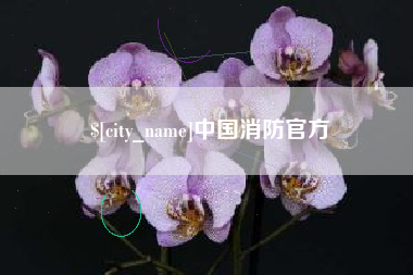 阳江中国消防官方