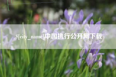 阳江中国执行公开网下载