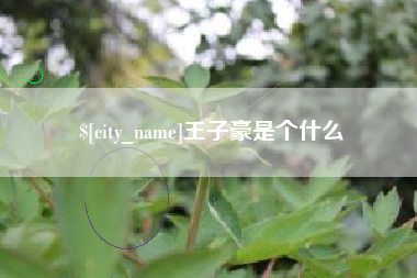阳江王子豪是个什么