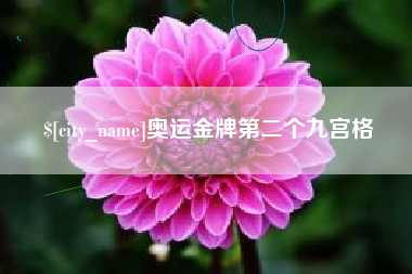 阳江奥运金牌第二个九宫格