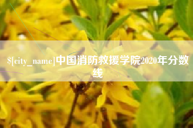 阳江中国消防救援学院2020年分数线