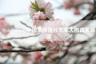 阳江中国金牌图片大全大图真实高清