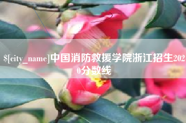 阳江中国消防救援学院浙江招生2020分数线