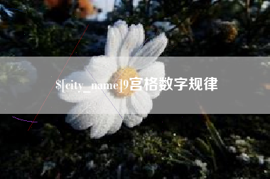 阳江9宫格数字规律