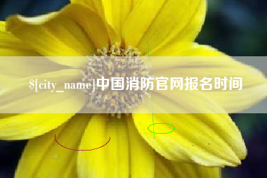 阳江中国消防官网报名时间