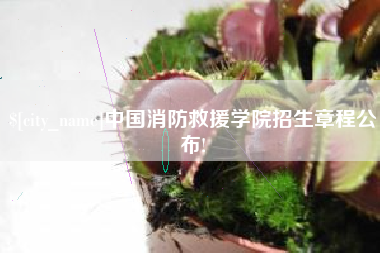阳江中国消防救援学院招生章程公布!