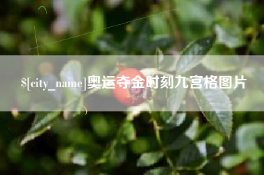阳江奥运夺金时刻九宫格图片