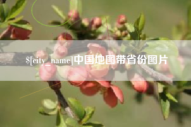 阳江中国地图带省份图片