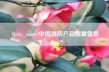 阳江中国消防产品质量信息