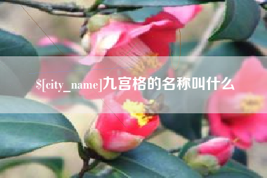 阳江九宫格的名称叫什么