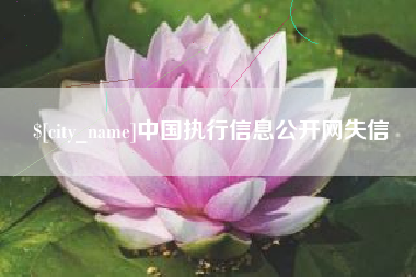 阳江中国执行信息公开网失信