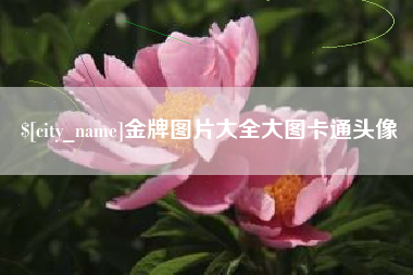 阳江金牌图片大全大图卡通头像