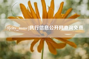 阳江执行信息公开网查询免费