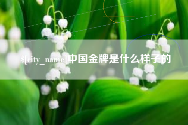 阳江中国金牌是什么样子的